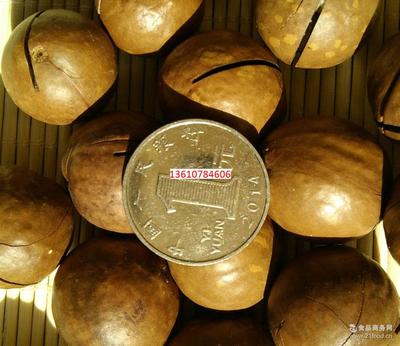 匠心甄选，源头直供 特一级开口夏威夷果，引爆您的干果生意